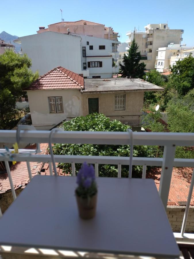 شقة غزيلوكاسترون  في Cute Small Flat Near The Beach المظهر الخارجي الصورة